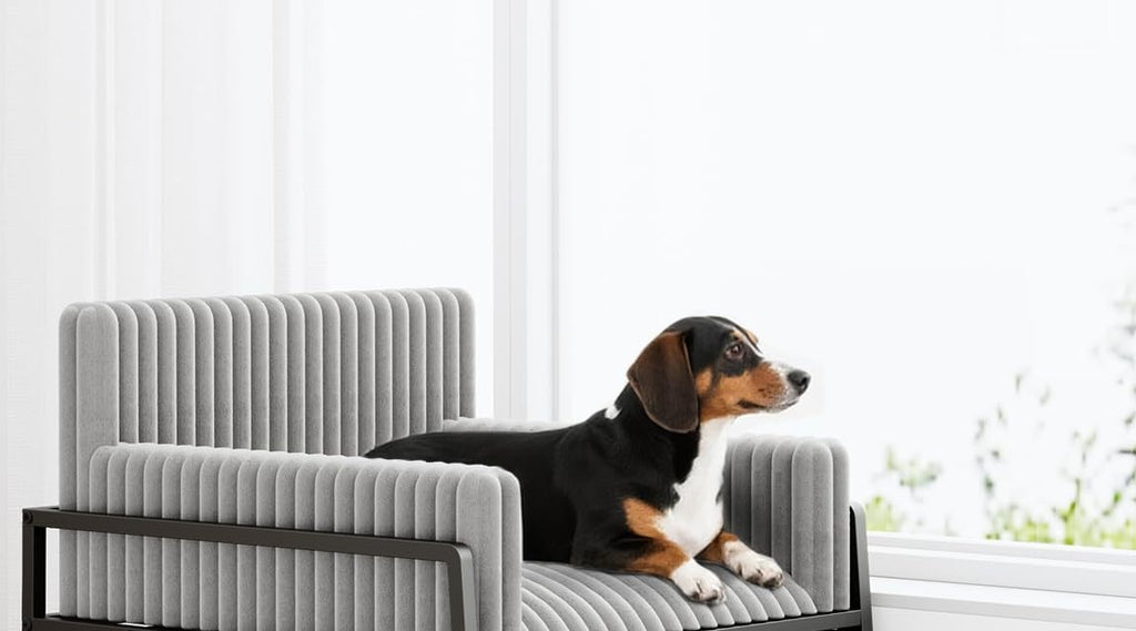 Dog resting on the PawLab elevated pet sofa with integrated stairs ramp