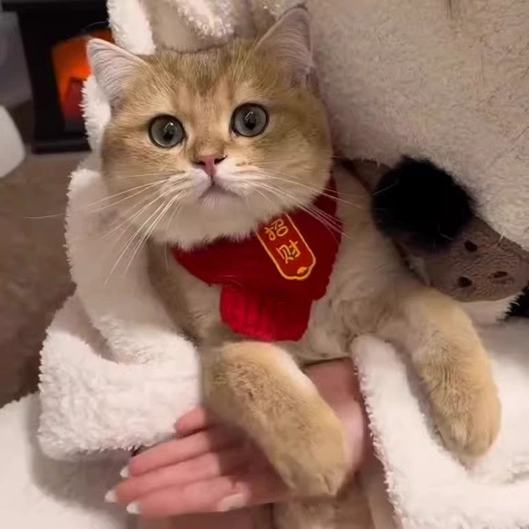 CNY Red Knit Pet Scarf featured
