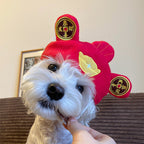 God of Wealth CNY Pet Hat Set featured