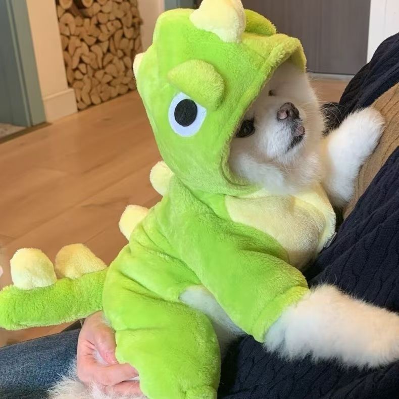 Pet Dino Onesie featured