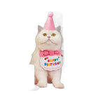 Birthday Cone Hat & Embroidered Bib Set gallery 1