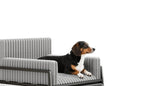 PawLab elevated pet sofa with stairs ramp on a white background