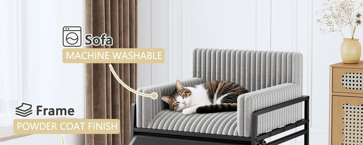 Elevated pet sofa features: machine-washable cushion and powder-coated frame