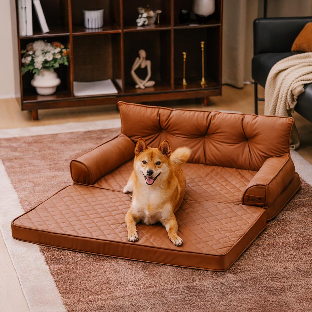Dog resting on the cognac brown faux leather orthopedic sofa bed