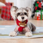Snowflake Knit Pet Sweater gallery 5