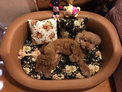 Solid wood washable dog bed