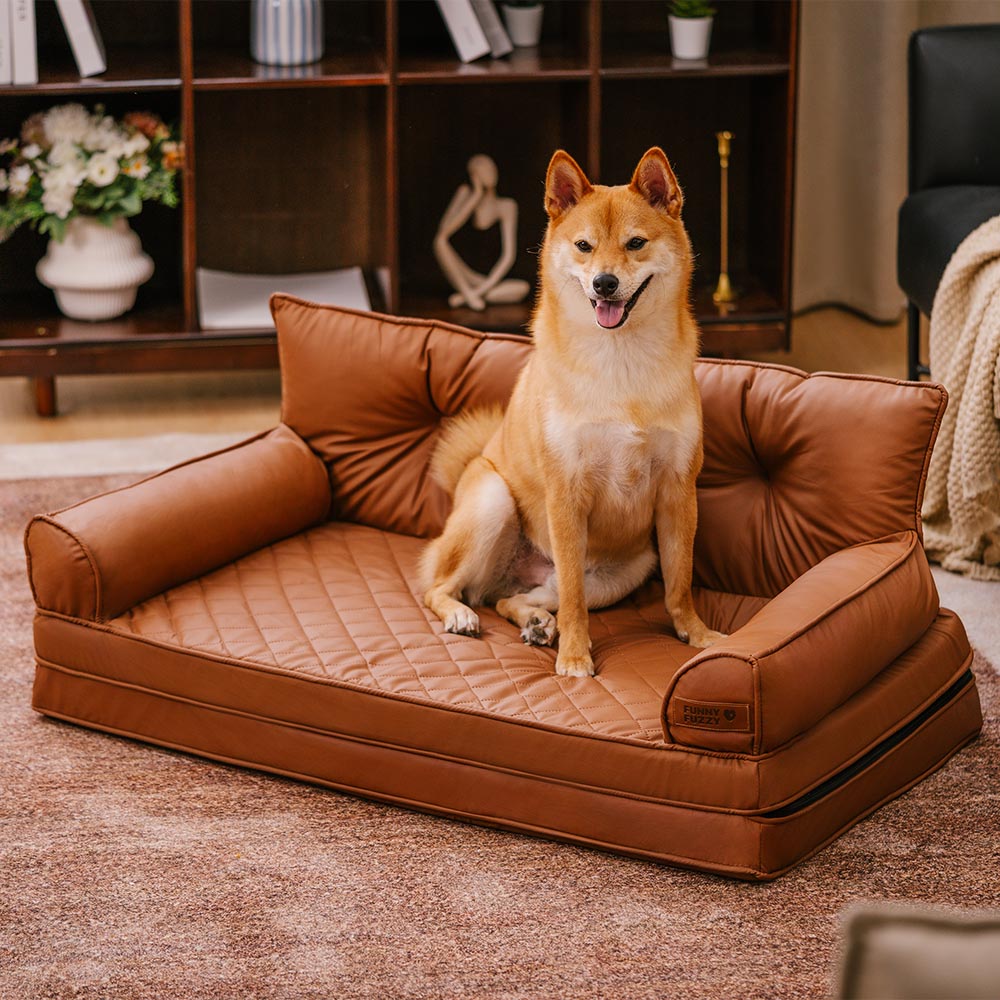 Dog resting on the abyss blue faux leather orthopedic sofa bed
