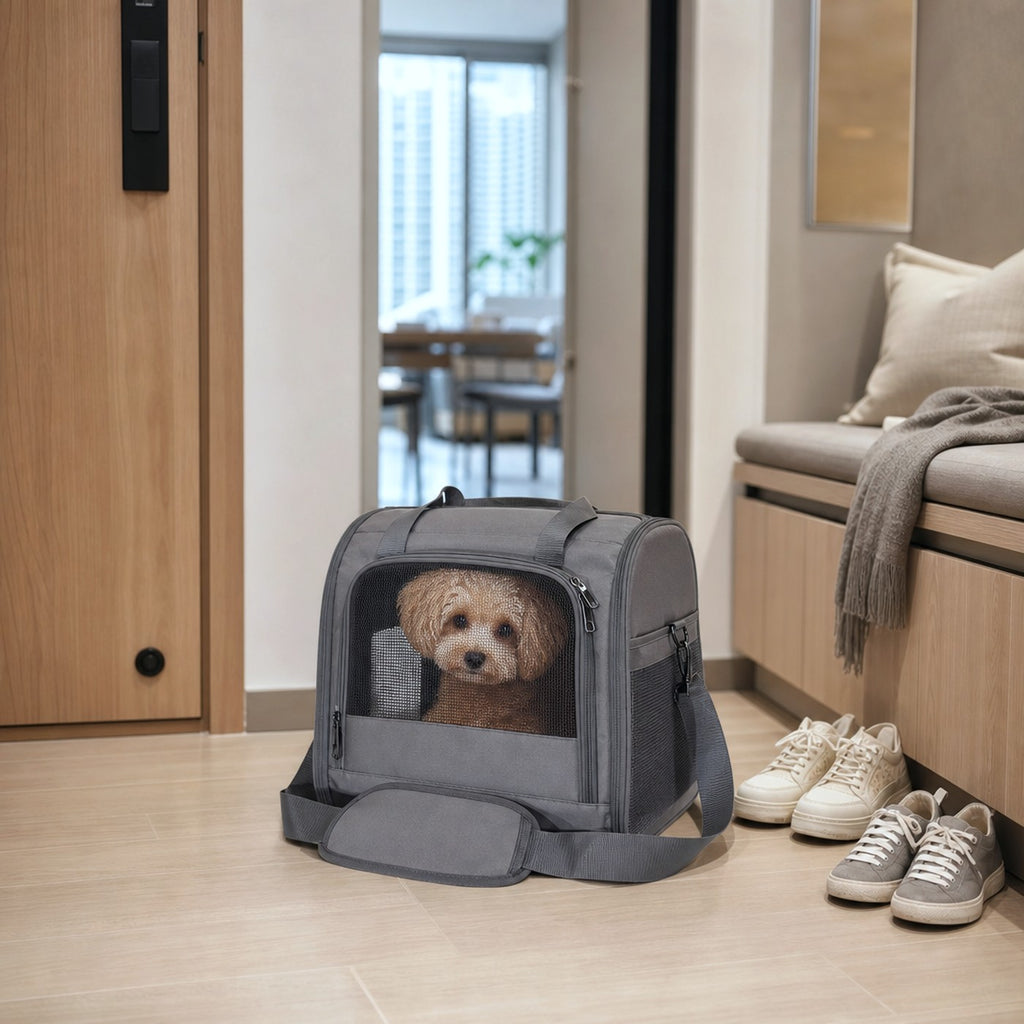 Breathable shoulder cat carrier in home entry — PawLab