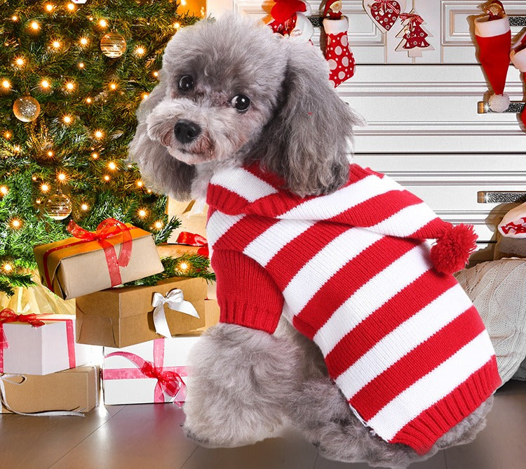 Fair-Isle Santa / Reindeer Pet Sweater — warm home featured