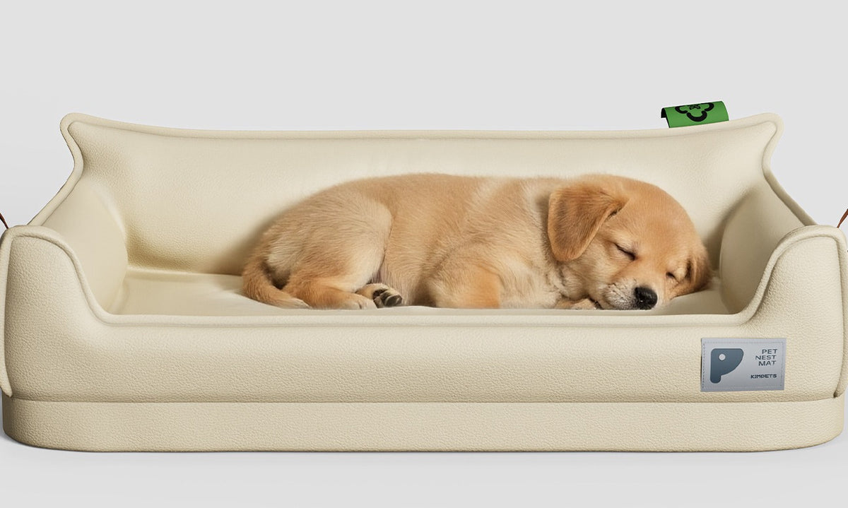 Waterproof Surround Outdoor Pet Bed 4
