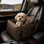 Brown — warm car nest lifestyle