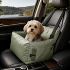 Light Green — warm car nest lifestyle