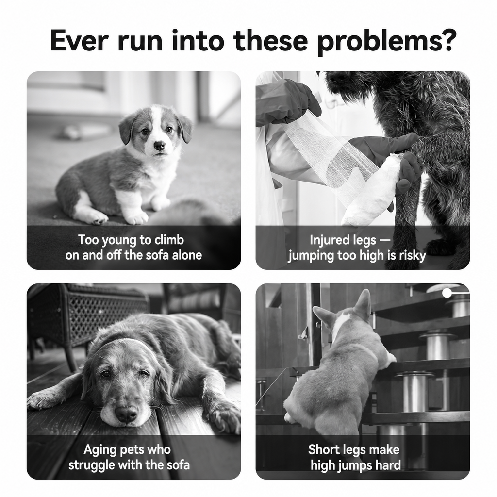 Ever run into these problems? — senior / short legs / injury — PawLab