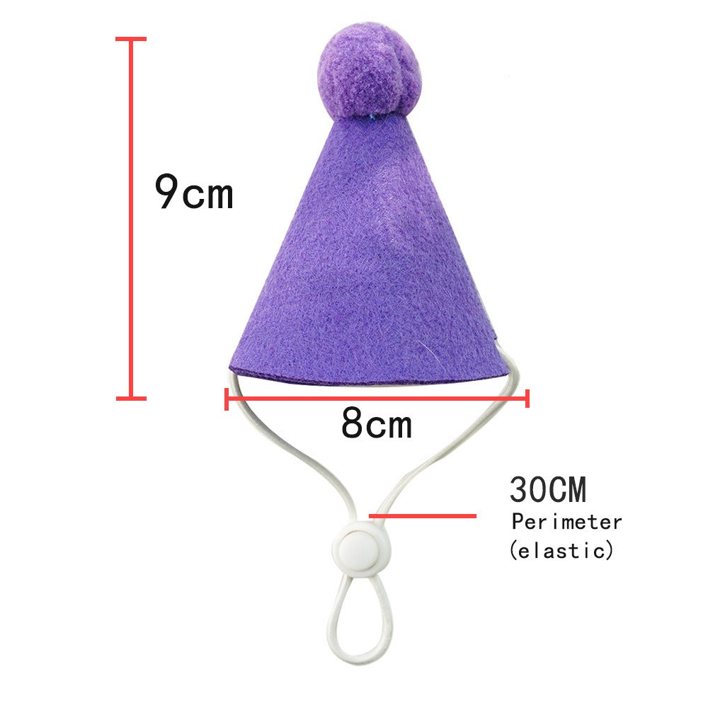 Birthday hat — purple