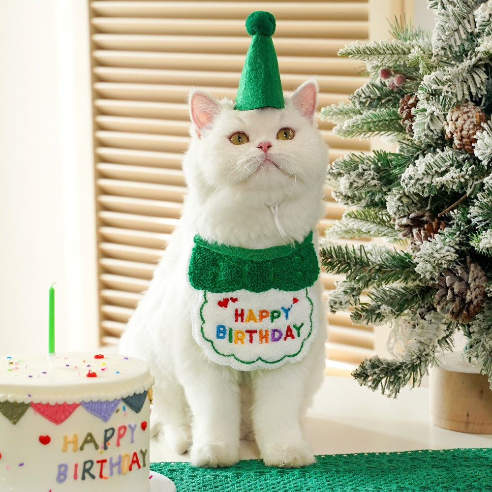 Birthday hat+bib set — green