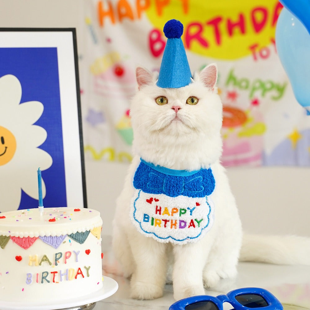 Birthday hat+bib set — navy