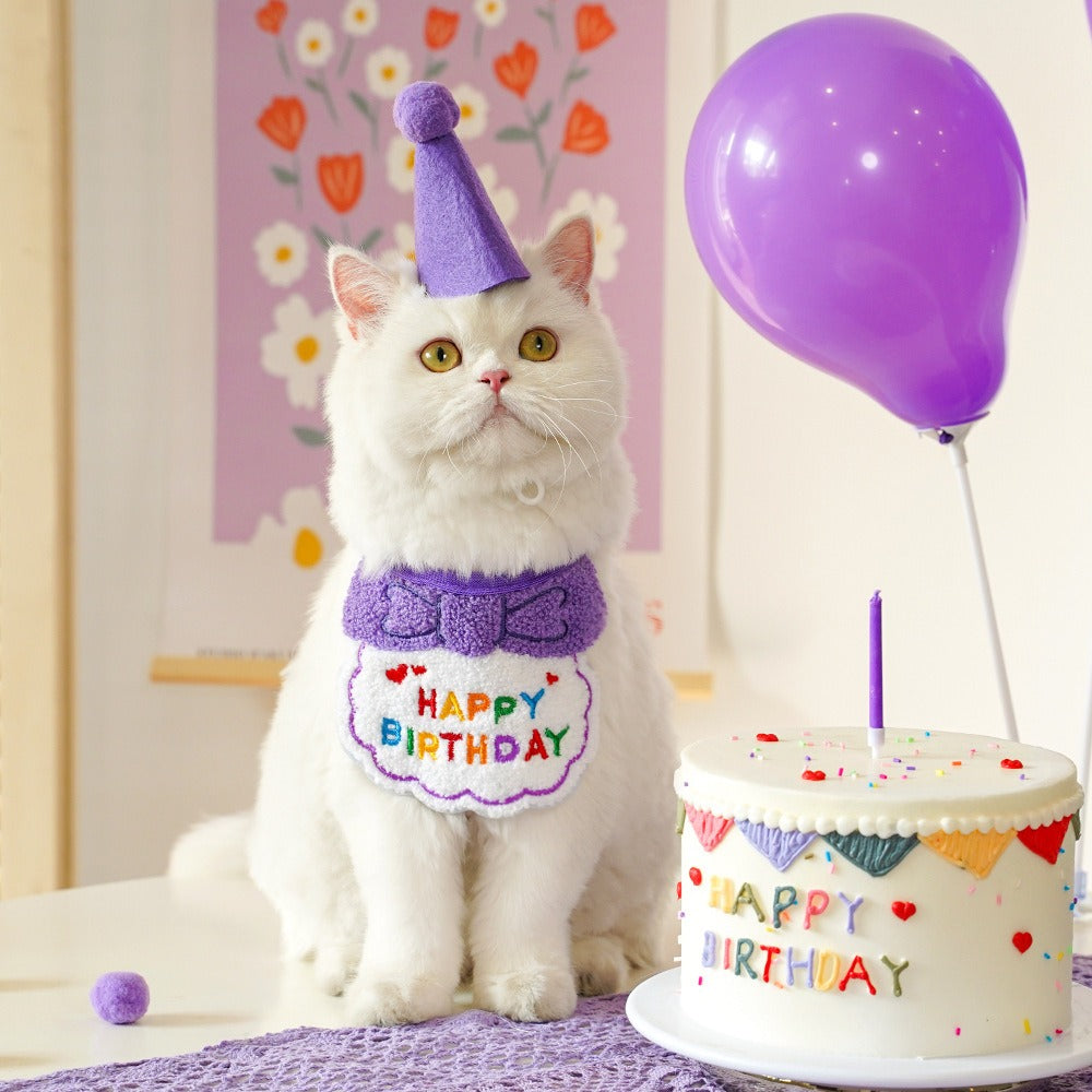 Birthday hat+bib set — purple