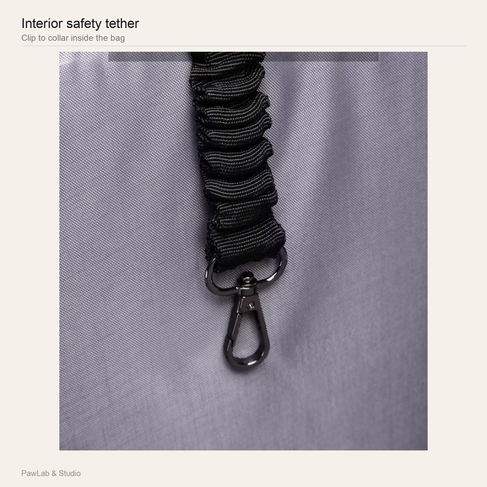 Interior safety tether — PawLab