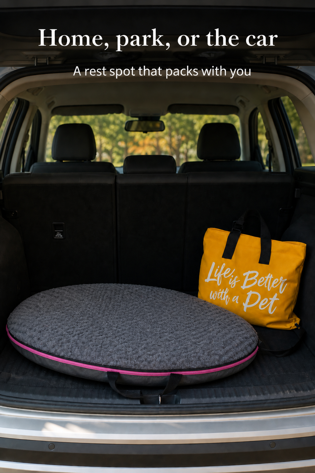 Home, park, or the car — PawLab