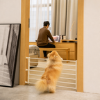 Calm doorway barrier — everyday home use — PawLab