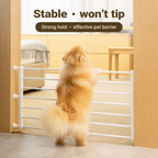 Stable — won't tip when pets lean — PawLab